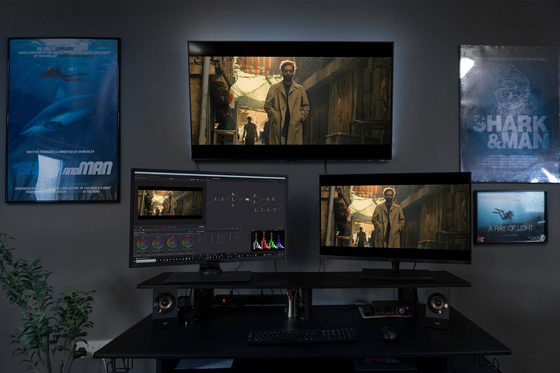 Palette Colour Grading display setup