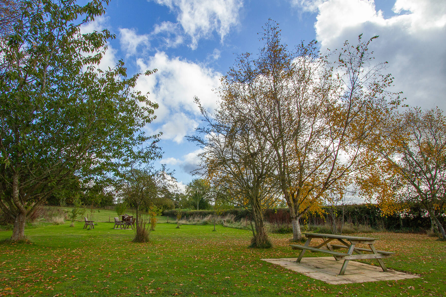 The gardens at Palette Colour Grading